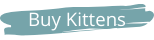 Buy a British shorthair Kitten