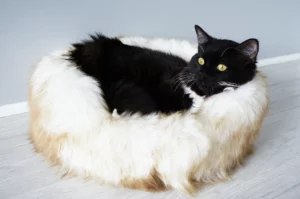 GENUINE SHEEPSKIN OVAL CAT BED